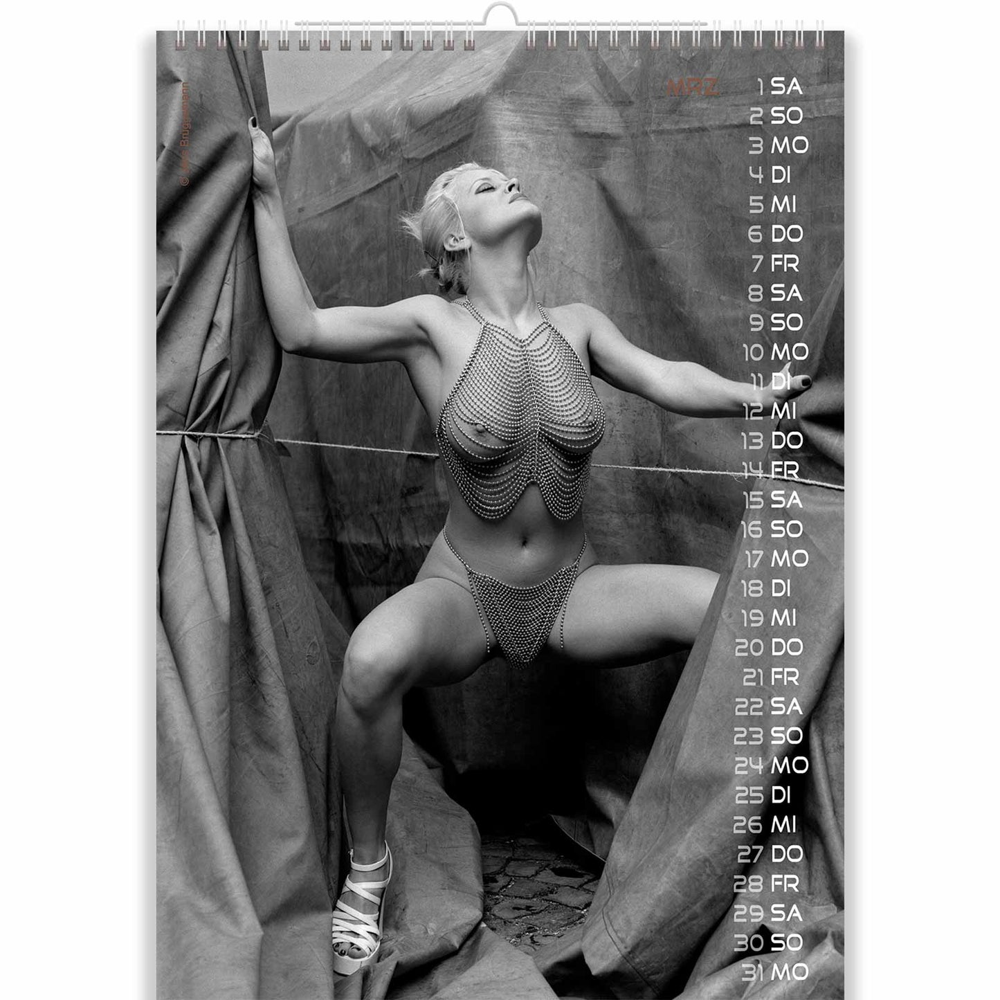 Naughty Blonde with Sweet Tits in Sexy Vintage Calendar