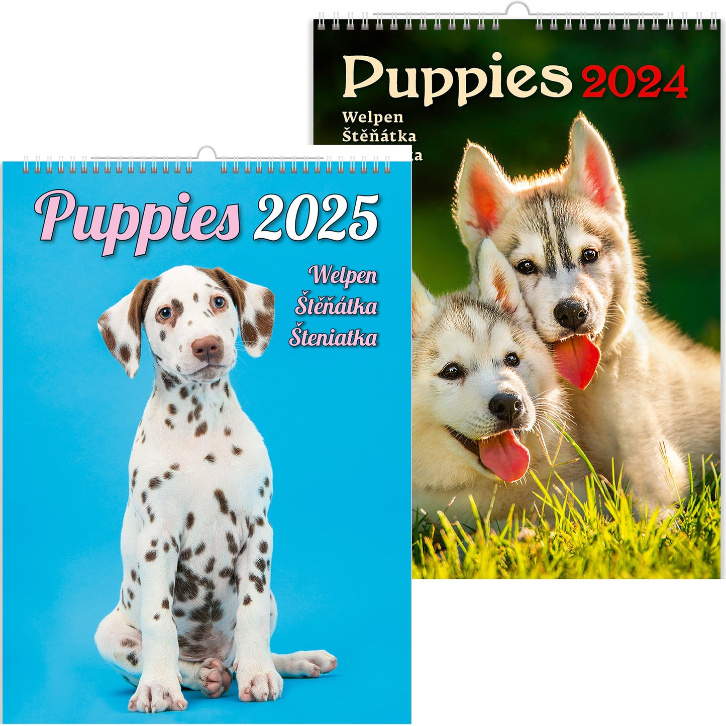 C181-25 Puppies Calendar 2025