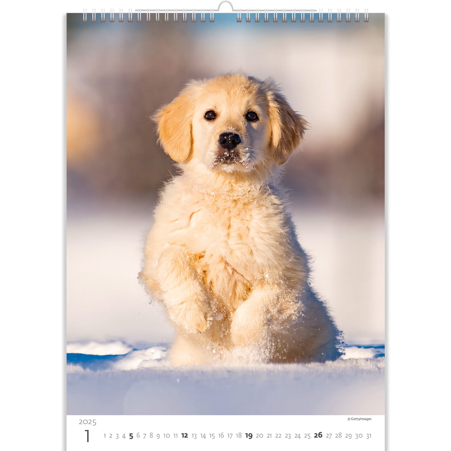 C181-25 Puppies Calendar 2025