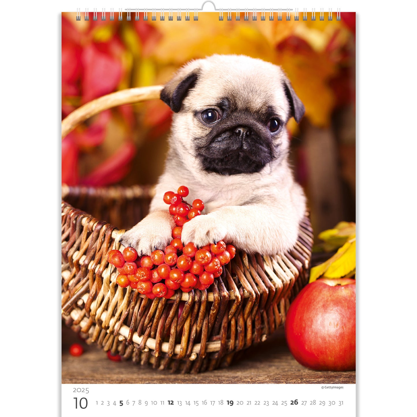 C181-25 Puppies Calendar 2025