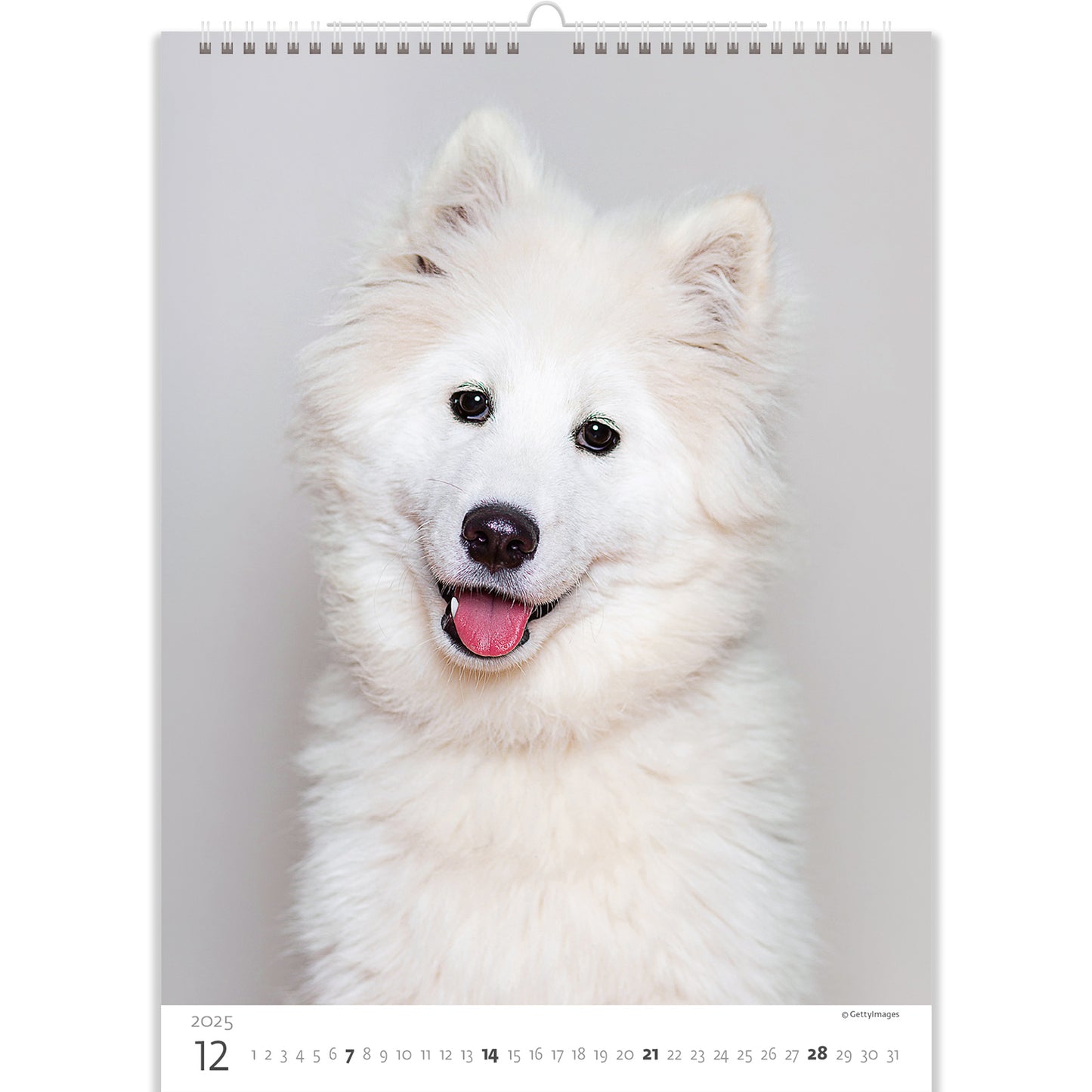 C181-25 Puppies Calendar 2025