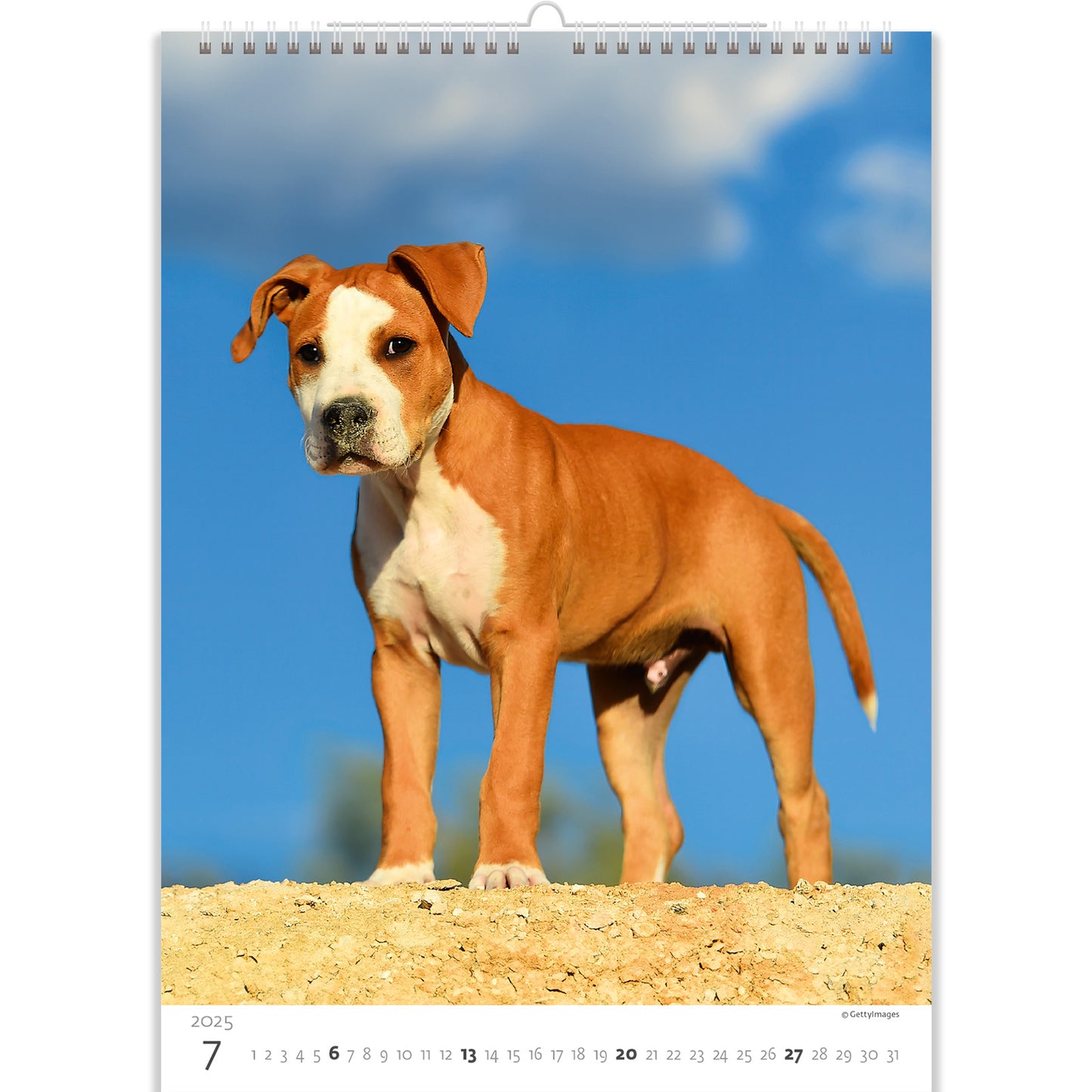 C181-25 Puppies Calendar 2025