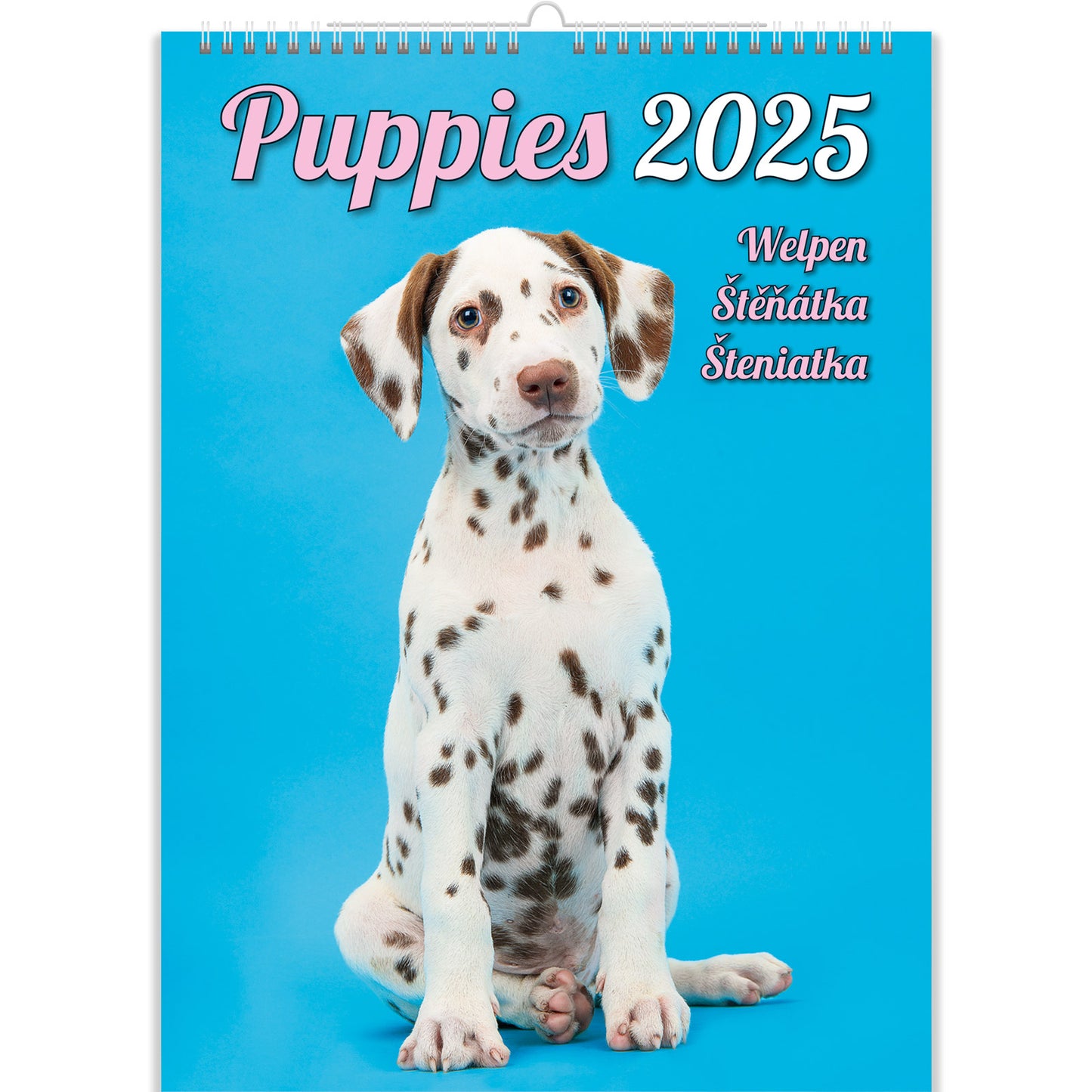 C181-25 Puppies Calendar 2025