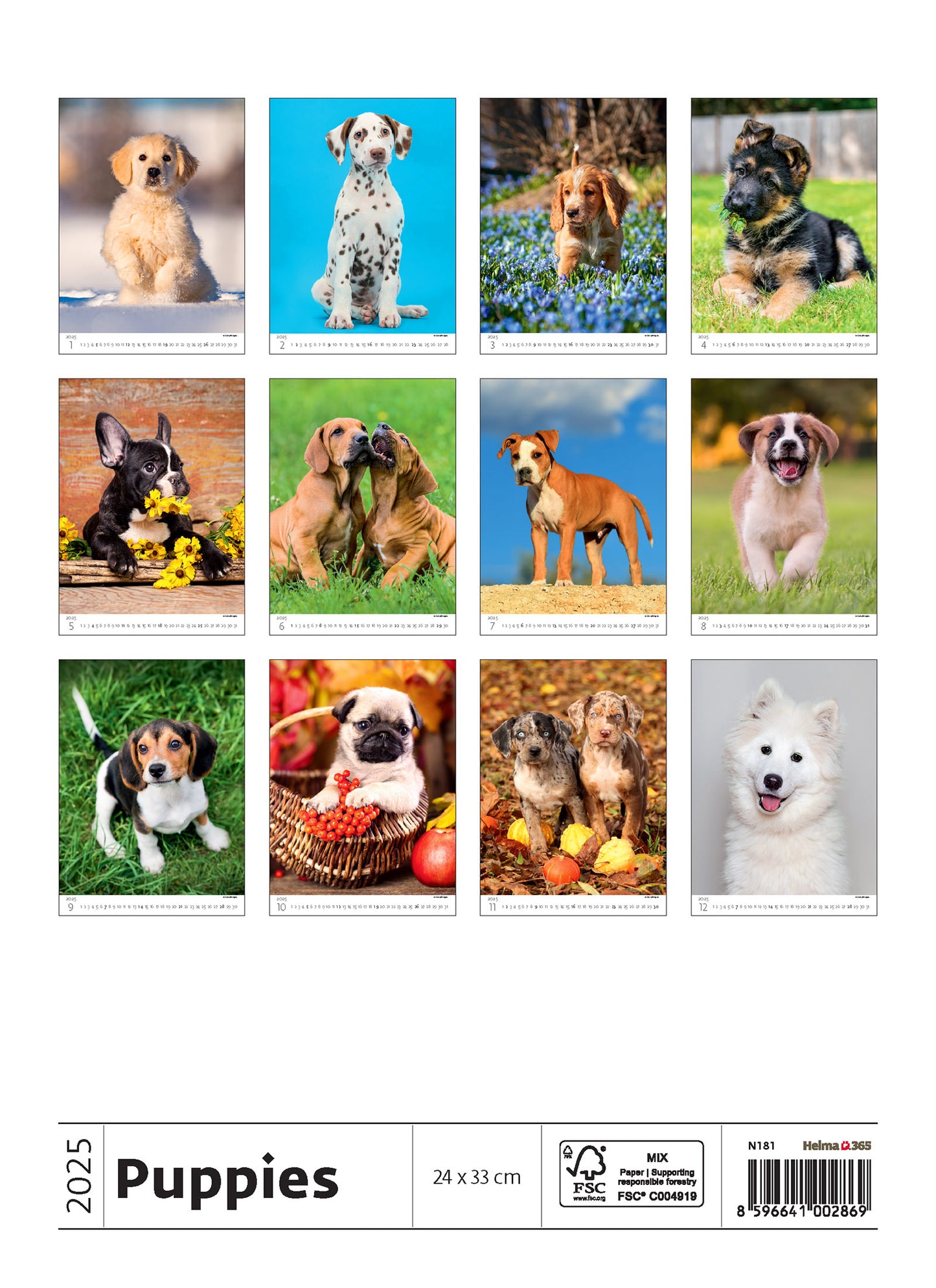 C181-25 Puppies Calendar 2025