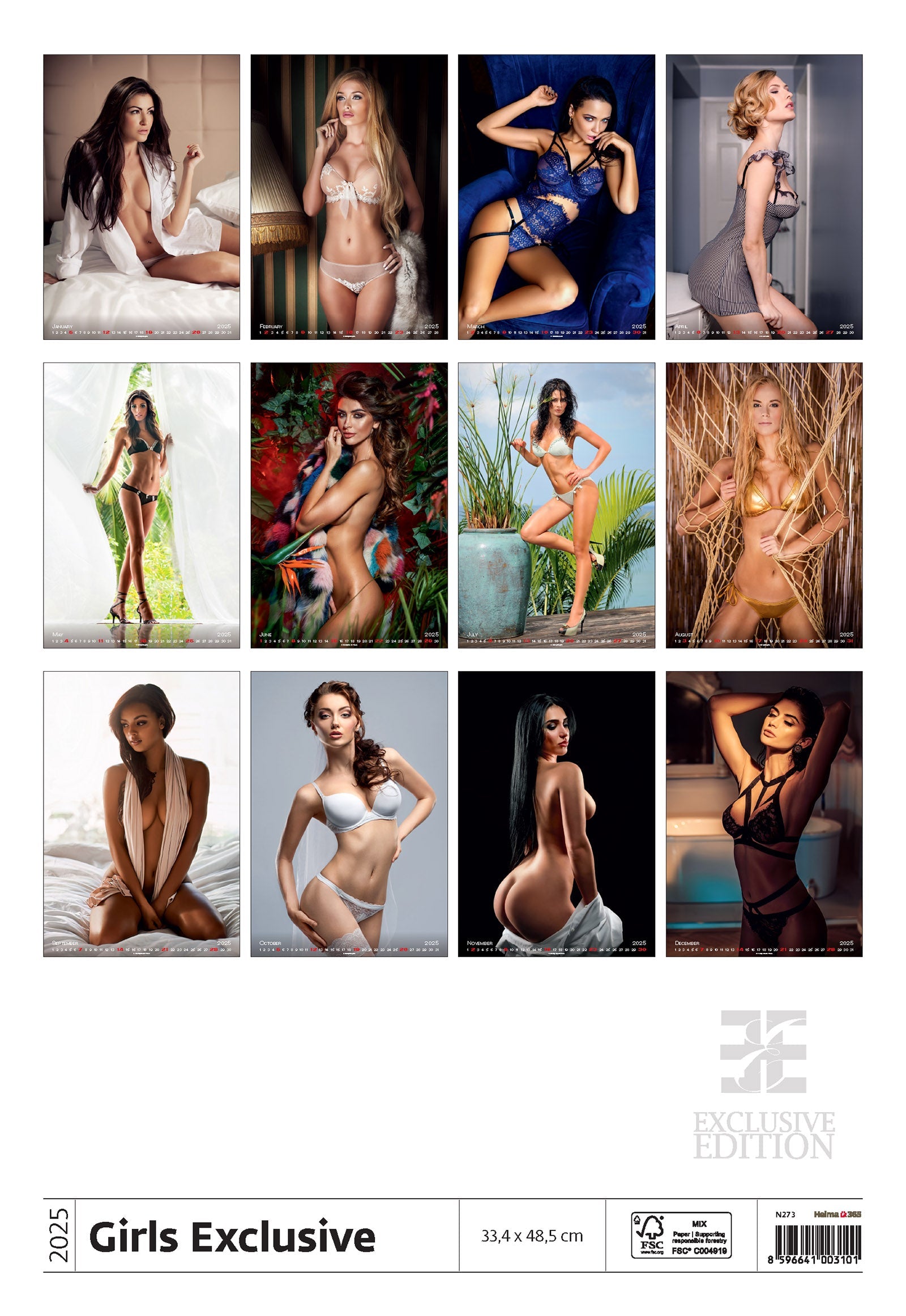 Sexy Babe Calendar Overview 2025