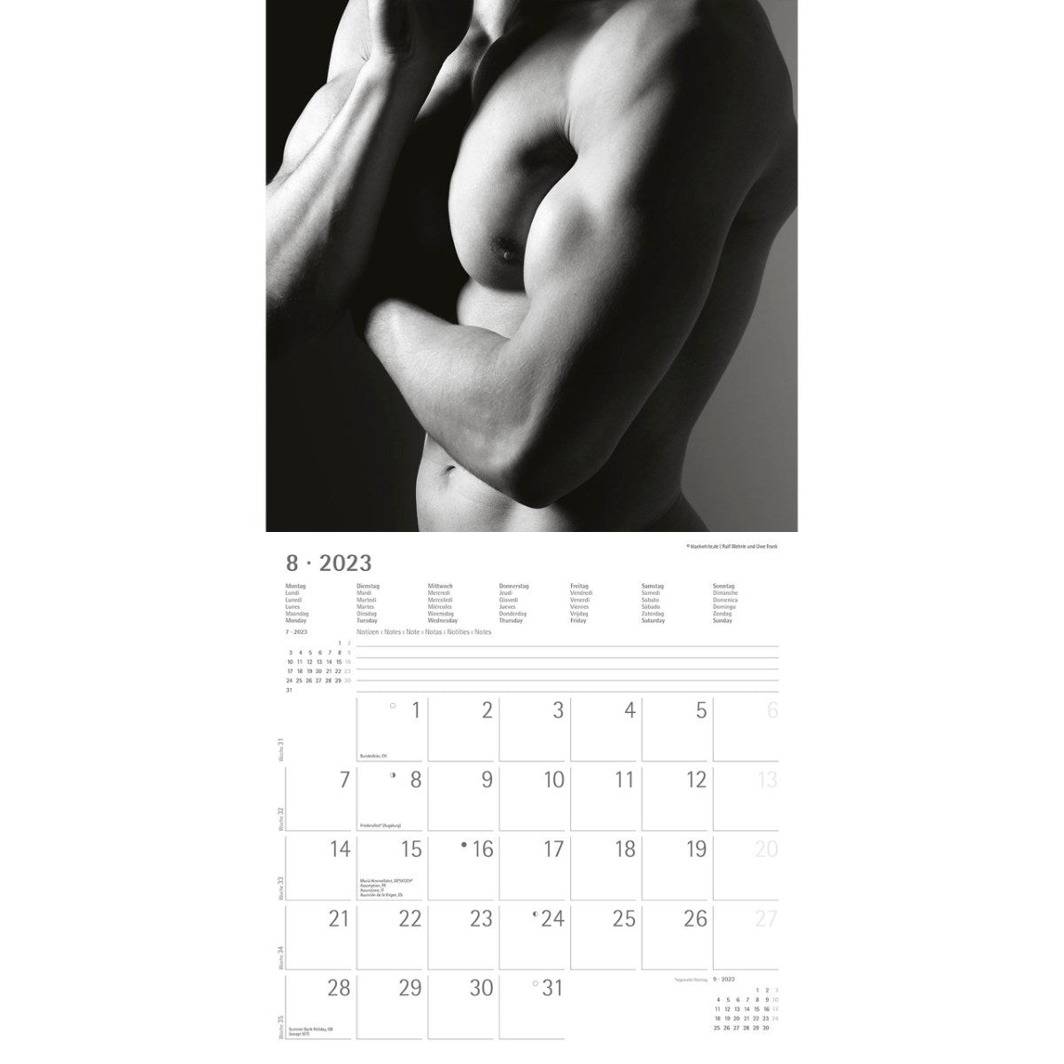 Italian Male Nudes Calendar Gay Fetish