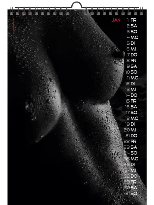 Jens A4 Hot Stuff 2027 + Note my Babe 2027 + free 2026 calendar