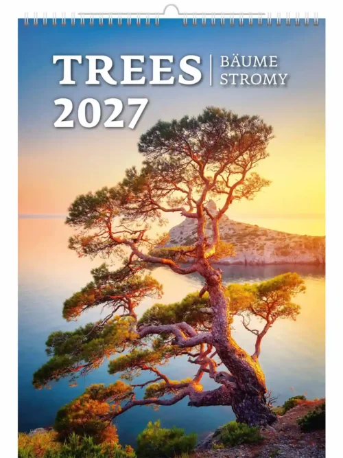 C125-27 Trees Calendar A3+ size 2027 + free 2026 calendar