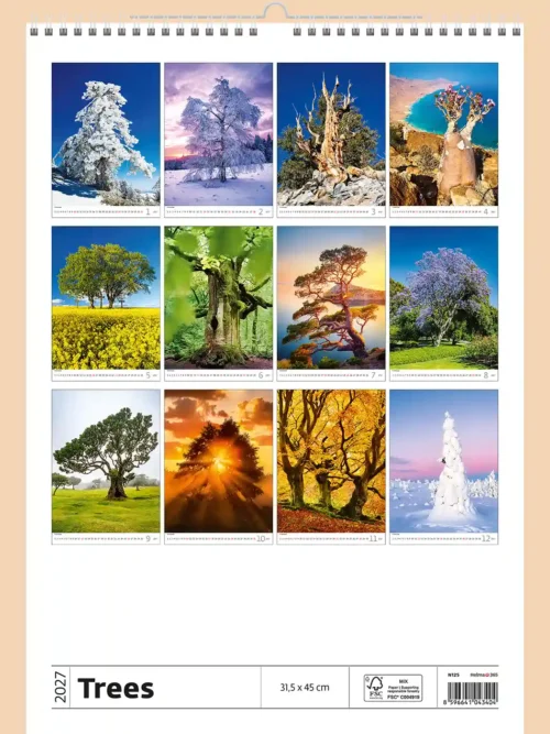Trees 2027 wall calendar, back cover showing all twelve monthly photos