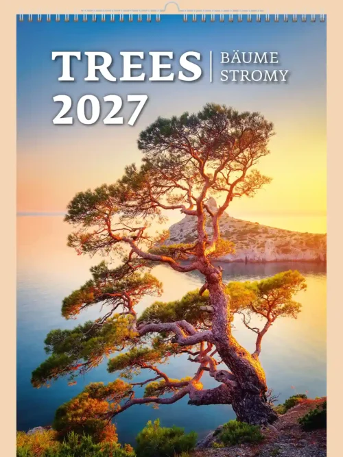 Trees 2027 wall calendar A3+, front cover: windswept pine on a rock above a lake at sunset