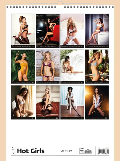 Hot Girls 2027 calendar, back cover, erotic: overview of all twelve monthly photos