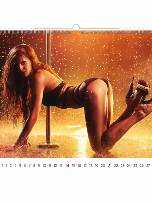 C163-27 Erotic Diva Calendars  45 x 32 cm 2027