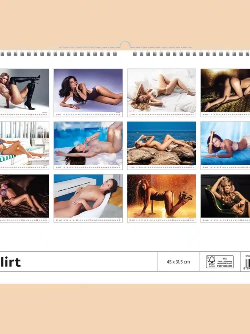 Flirt 2027 calendar, back cover, erotic, full nudity: overview of all twelve monthly photos