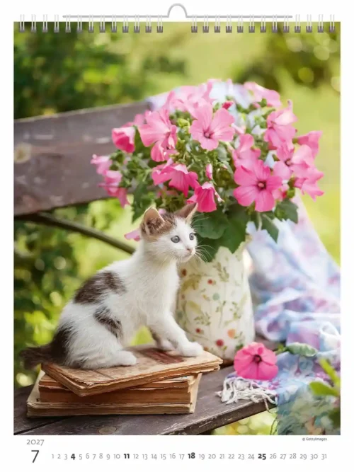 C180-27 Cute Kittens Calendar A3+ 2027 + free 2026 calendar