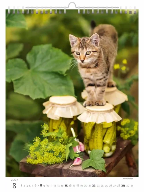 C180-27 Cute Kittens Calendar A3+ 2027 + free 2026 calendar
