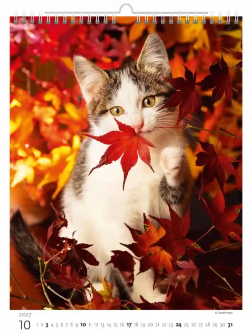 C180-27 Cute Kittens Calendar A3+ 2027 + free 2026 calendar