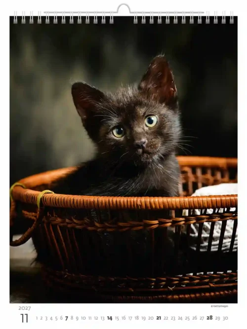 C180-27 Cute Kittens Calendar A3+ 2027 + free 2026 calendar
