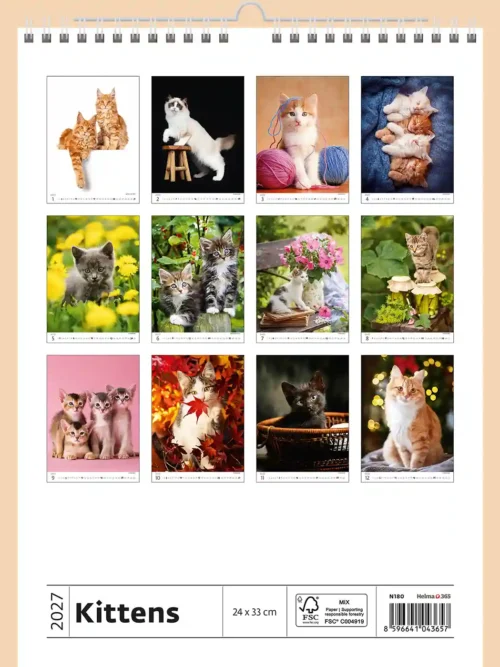 Kittens 2027 wall calendar, back cover showing all twelve monthly photos