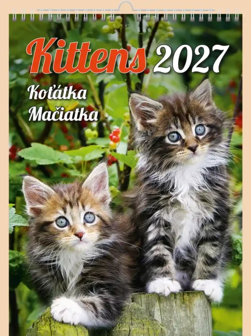 Kittens 2027 wall calendar A3+, front cover: two tabby kittens on a tree stump among green leaves