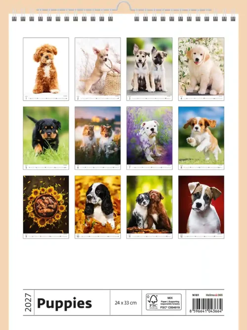 Puppies 2027 wall calendar, back cover showing all twelve monthly photos