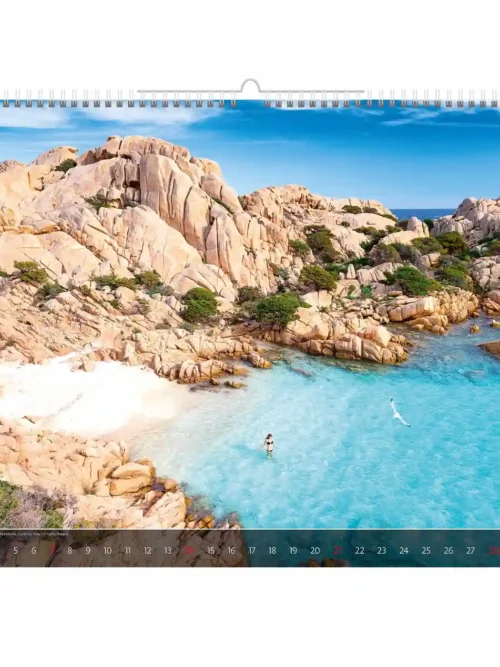 C264-27 Surreal Art Worlds Calendar B3 size 2027 + free 2026 calendar