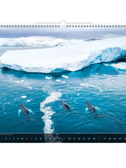 C264-27 Surreal Art Worlds Calendar B3 size 2027 + free 2026 calendar