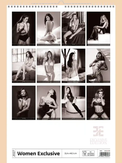 Women Exclusive 2027 calendar, back cover, erotic, partial nudity: overview of all twelve monthly photos
