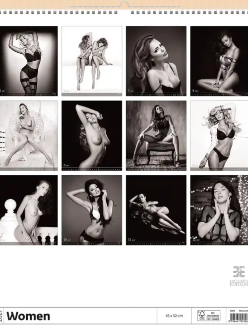 Women 2027 calendar, back cover, erotic, full nudity: overview of all twelve monthly photos
