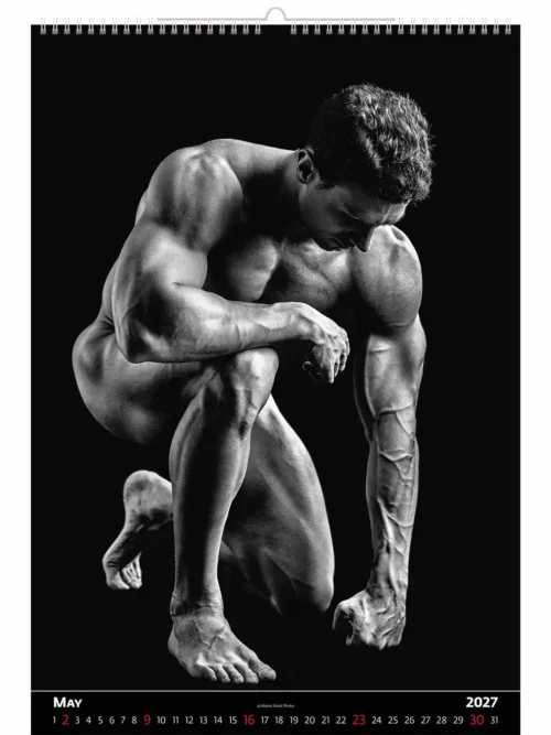 C276-27 Body Builders Calendar B3 size 2027 + free 2026 calendar