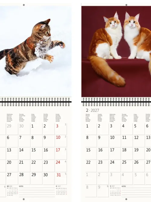 CA01-27 2027 Writing kalender 30 x 30 Cats
