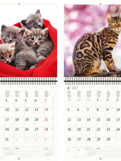 CA01-27 2027 Writing kalender 30 x 30 Cats