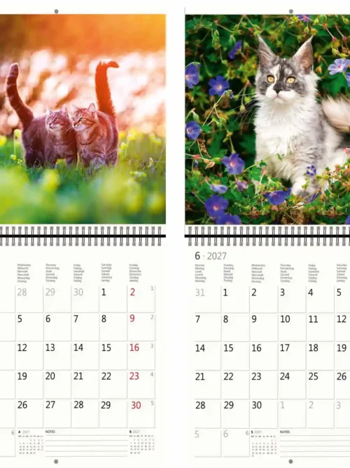 CA01-27 2027 Writing kalender 30 x 30 Cats