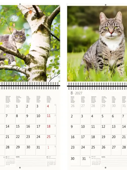 CA01-27 2027 Writing kalender 30 x 30 Cats