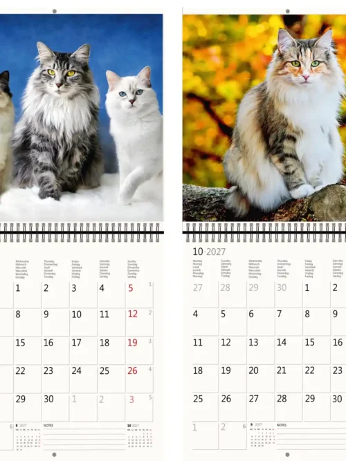 CA01-27 2027 Writing kalender 30 x 30 Cats