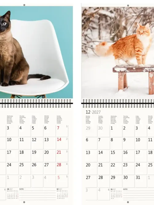 CA01-27 2027 Writing kalender 30 x 30 Cats