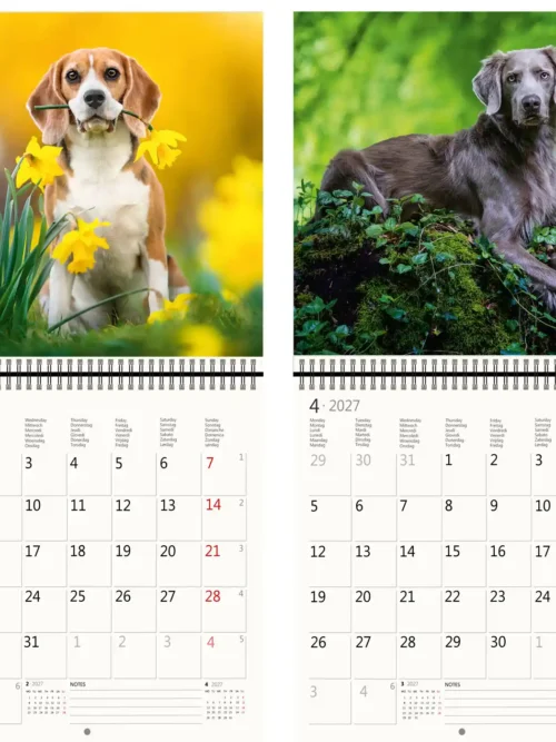CA02-2027 Writing kalender 30 x 30 Dogs