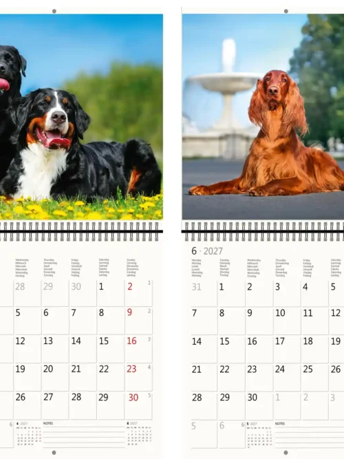 CA02-2027 Writing kalender 30 x 30 Dogs