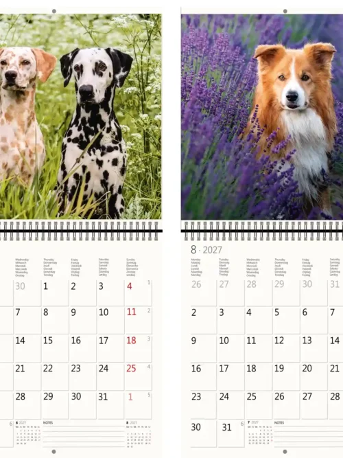 CA02-2027 Writing kalender 30 x 30 Dogs