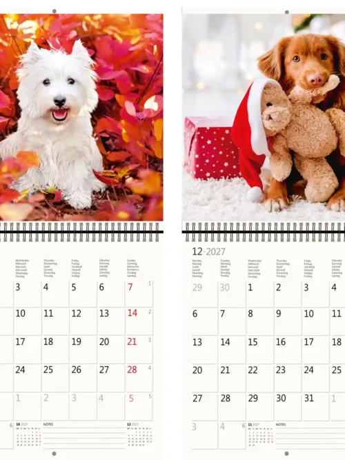 CA02-2027 Writing kalender 30 x 30 Dogs
