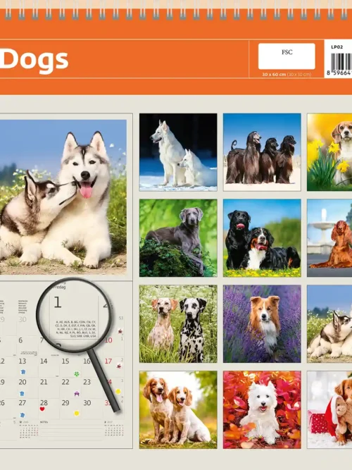 Dogs 2027 writing calendar, back cover showing all monthly dog photos and a sticker sheet