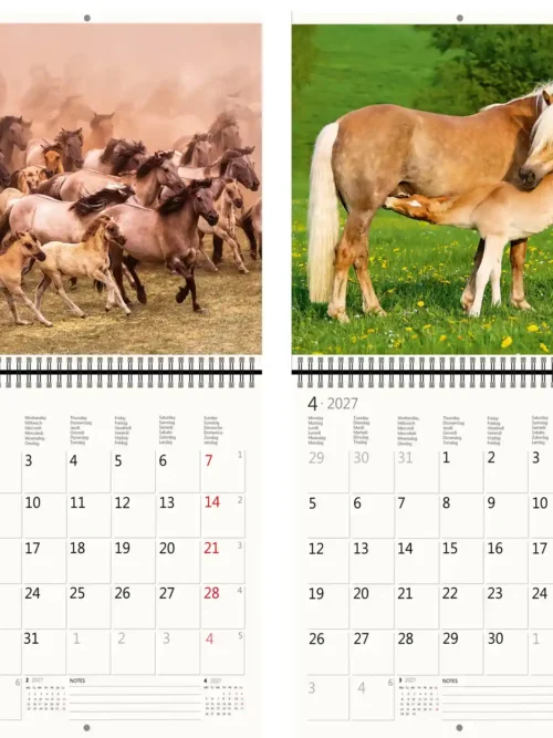 CA03-2027 Writing kalender 30 x 30 Horses