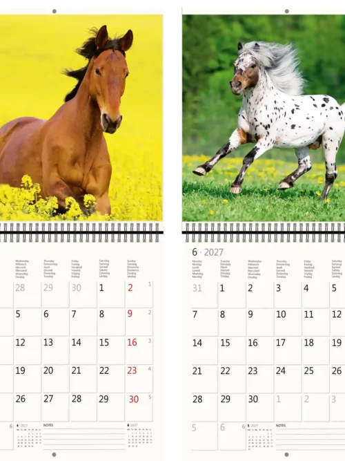CA03-2027 Writing kalender 30 x 30 Horses