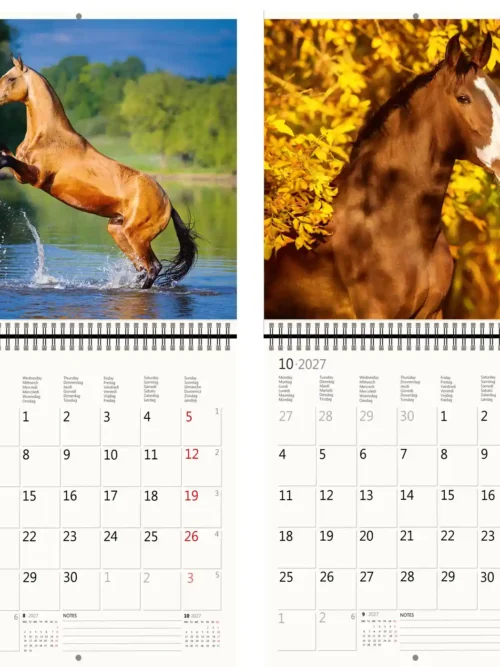 CA03-2027 Writing kalender 30 x 30 Horses