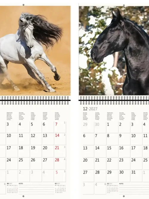 CA03-2027 Writing kalender 30 x 30 Horses