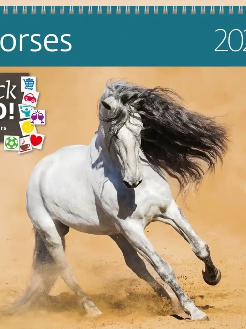 Horses 2027 writing calendar 30 x 30 cm with stickers, front cover: white horse galloping