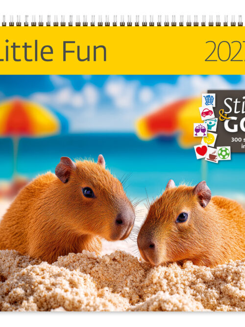 CA04-27 2027 Writing kalender 30 x 30 Little Fun