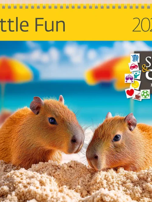 Little Fun 2027 writing calendar 30 x 30 cm with stickers, front cover: two guinea pigs on a sandy beach