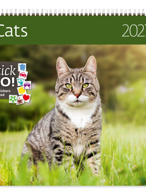 CA01-27 2027 Writing kalender 30 x 30 Cats
