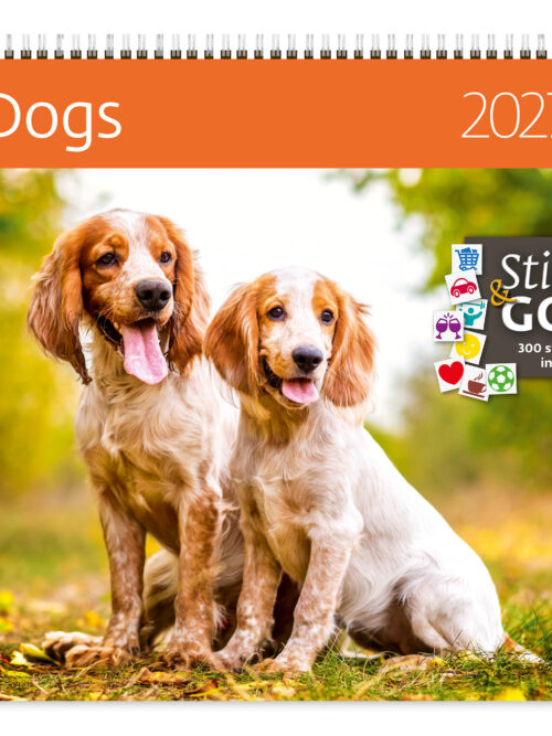 CA02-2027 Writing kalender 30 x 30 Dogs