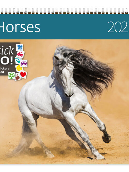 CA03-2027 Writing kalender 30 x 30 Horses